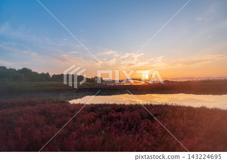 Sunrise Dawn over Misaeng Bridge with Water Reflection in Siheung Wetland, South Korea Sunrise Dawn over Misaeng Bridge with Water Reflection in Siheung Wetland, South Korea 143224695