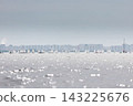 lots of sailing derricks on the horizon on a clear sunny day, young participants of the Optimist class city championship 143225676