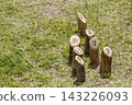 A horizontal view of a traditional wooden skittles game set up on a green lawn. 143226093