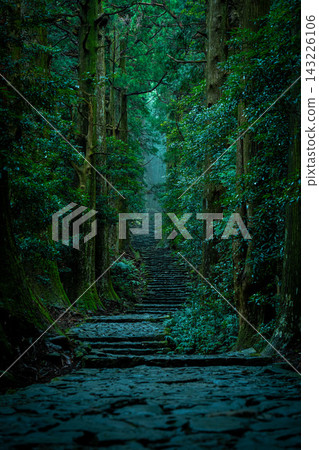 熊野古道朝聖路線上的大門坂,籠罩在晨霧之中,景色神聖。 熊野古道朝聖路線上的大門坂,籠罩在晨霧之中,景色神聖。 143226106