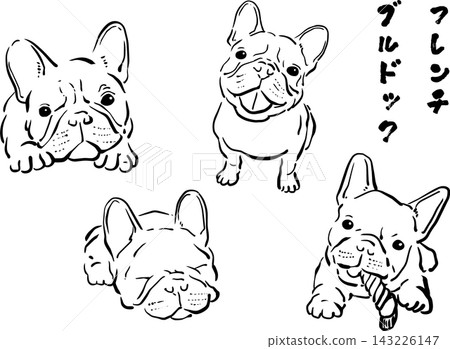 一幅法國鬥牛犬的水墨插畫 一幅法國鬥牛犬的水墨插畫 143226147