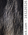Wood surface revealing abstract texture and pattern, creating a background for design, featuring weathered grain with deep lines and a natural aged feel 143226526