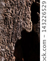 Aged tree bark showing deep textures, cracks, and a dark hollow, creating an abstract natural background emphasizing decay and organic patterns 143226529