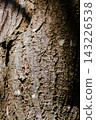 Aged wood texture with deep grain and cracks that form a rough, rustic texture, and an intense, high-contrast background for use in natural or vintage designs. 143226538