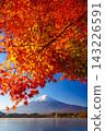Mountain fuji with red maple in Autumn, Kawaguchiko Lake, Japan 143226591