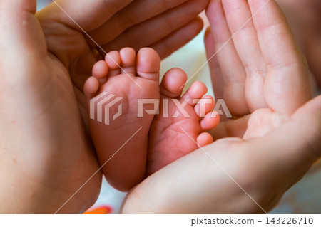 Tiny baby feet resting in the hands of two adults in a warm living room setting Tiny baby feet resting in the hands of two adults in a warm living room setting 143226710