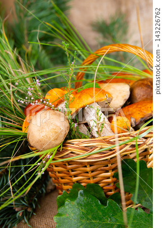 various edible mushrooms in a wicker basket in the grass various edible mushrooms in a wicker basket in the grass 143226762