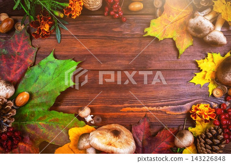 Autumn background of yellow and colored leaves, cones and nuts. Autumn background of yellow and colored leaves, cones and nuts. 143226848