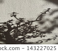 Abstract Botanical Shadow Cast on Textured Wall 143227025