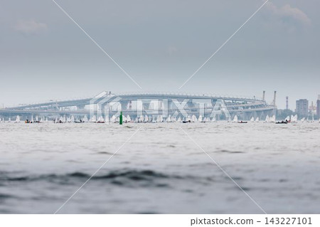 lots of sailing derricks on the horizon on a clear sunny day, young participants of the Optimist class city championship 143227101