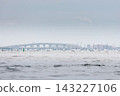 lots of sailing derricks on the horizon on a clear sunny day, young participants of the Optimist class city championship 143227106