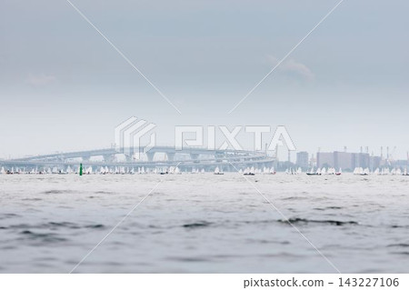 lots of sailing derricks on the horizon on a clear sunny day, young participants of the Optimist class city championship lots of sailing derricks on the horizon on a clear sunny day, young participants of the Optimist class city championship 143227106