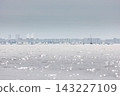 lots of sailing derricks on the horizon on a clear sunny day, young participants of the Optimist class city championship 143227109