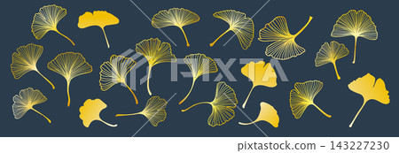 Gold ginkgo leaf set. Asian background. Ornate poster. Japanese flower, abstract luxury for modern spa. Oriental Chinese modern decorative frame. Elegant textile. Vector print isolated illustration 143227230