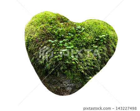 Heart shaped stone covered with moss isolated on white background Heart shaped stone covered with moss isolated on white background 143227498