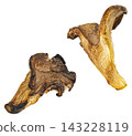 Falling grilled Oyster mushroom slices isolated on white background full depth of field 143228119