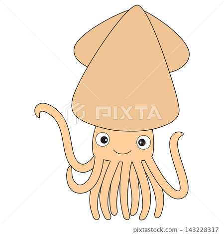 A cute squid, a multi-legged mollusk that lives in the ocean A cute squid, a multi-legged mollusk that lives in the ocean 143228317