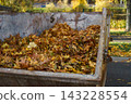 A trailer is filled with fallen autumn leaves during yard cleanup. Concept of autumn work, leaf collection, recycling, maintenance, nature and autumn 143228554