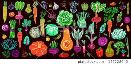 Colorful hand drawn vegetable illustration with assorted garden produce 143228643