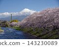 富士市龍岩淵的櫻花樹 143230089
