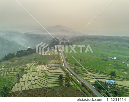 beauty morning light sunrise at paddy fields asia, Beautiful morning view in Indonesia, panoramic landscape of rice fields with mountain ranges and clear sky 143231634