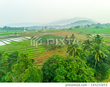 beauty morning light sunrise at paddy fields asia, Beautiful morning view in Indonesia, panoramic landscape of rice fields with mountain ranges and clear sky beauty morning light sunrise at paddy fields asia, Beautiful morning view in Indonesia, panoramic landscape of rice fields with mountain ranges and clear sky 143231653