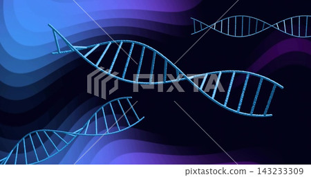 Floating large blue DNA helix amid abstract bio art small helices corded strand indigo purple waves Floating large blue DNA helix amid abstract bio art small helices corded strand indigo purple waves 143233309