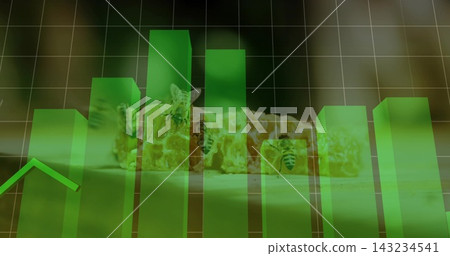 Displaying translucent green 3D bar chart overlaying honeycomb close-up in studio, with bees Displaying translucent green 3D bar chart overlaying honeycomb close-up in studio, with bees 143234541