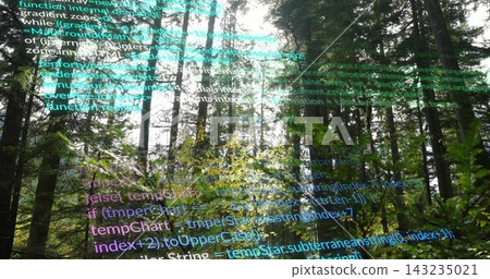 Showing conifer trunks, ferns glowing with sun rays in forest, with floating semi transparent code Showing conifer trunks, ferns glowing with sun rays in forest, with floating semi transparent code 143235021