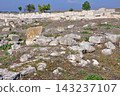Greece, Macedonia: Pella archaeological site, the capital of the ancient Macedonian kingdom, with remains of stone foundations and walls. 143237107