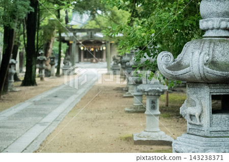 「大阪府」（九月）【旅遊景點】靜靜地坐落在城市中心的神社 143238371