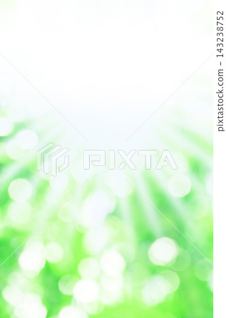 Fresh green leaves, sunlight filtering through the trees, copy space Fresh green leaves, sunlight filtering through the trees, copy space 143238752
