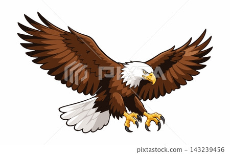 Bald Eagle Soaring with Open Wings Vector Illustration Bald Eagle Soaring with Open Wings Vector Illustration 143239456