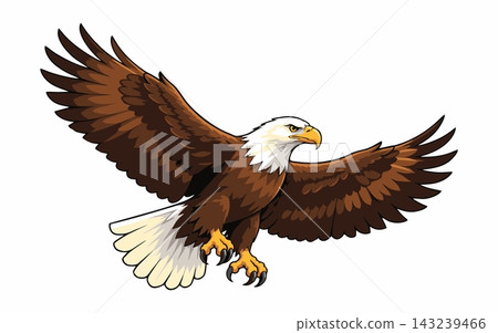 Vector illustration of a bald eagle in flight. 143239466