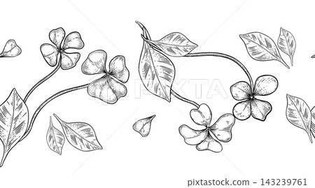 Seamless vector border of four leaf clover plants on thin stems. Black and white outline delicate clover hand drawn for banner St. Patrick's Day and Nature Design. Shamrock foliage ink sketch repeat. Seamless vector border of four leaf clover plants on thin stems. Black and white outline delicate clover hand drawn for banner St. Patrick's Day and Nature Design. Shamrock foliage ink sketch repeat. 143239761