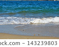 Amanohashidate: A beautiful sea with white sand and green pine trees (Miyazu City, Kyoto Prefecture) 143239803