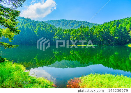 夏季的米沙卡池,美麗的綠色森林和藍色天空倒映在水中,構成了一幅壯麗的對稱景觀。 夏季的米沙卡池,美麗的綠色森林和藍色天空倒映在水中,構成了一幅壯麗的對稱景觀。 143239979