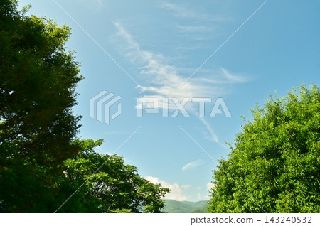 夏日藍天與鬱鬱蔥蔥森林之間,點綴著如畫筆般輕柔的雲朵。 夏日藍天與鬱鬱蔥蔥森林之間,點綴著如畫筆般輕柔的雲朵。 143240532