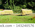 Scenery with rice drying 143240576