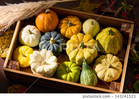 Colorful pumpkins packed in a wooden box - Halloween theme Colorful pumpkins packed in a wooden box - Halloween theme 143241523