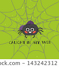 Cute halloween spider on web with quote lettering in flat vector style 143242312