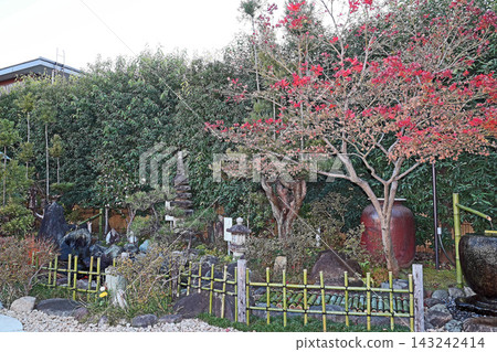 淨胜寺（調布） 143242414
