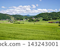Rural Landscape: Terraced Rice Fields and Summer Sky - Connecting Terraced Rice Field Heritage in Hiwa-Mikawachi 143243001
