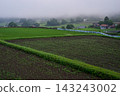 Connecting the Heritage of Terraced Rice Fields: Early Summer in the Terraced Rice Fields of Hiwa-Mikawachi - A Morning After the Rain 143243002