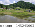Connecting the Heritage of Terraced Rice Fields: Terraced Rice Fields of Hiwa Mikawachi - Spring, Rice Planting Season 143243003
