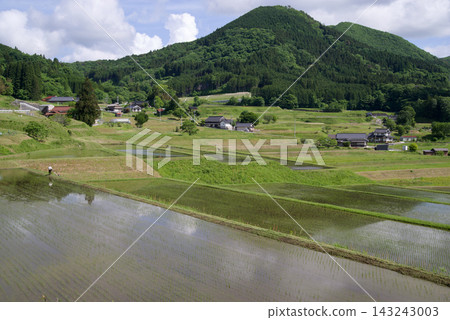Connecting the Heritage of Terraced Rice Fields: Terraced Rice Fields of Hiwa Mikawachi - Spring, Rice Planting Season Connecting the Heritage of Terraced Rice Fields: Terraced Rice Fields of Hiwa Mikawachi - Spring, Rice Planting Season 143243003