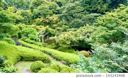 有苔蘚的花園 143243406