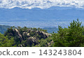 superb view of summer 143243804
