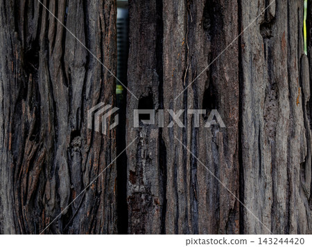 Close up of old distressed wood surface with natural dark brown patterns. Close up of old distressed wood surface with natural dark brown patterns. 143244420