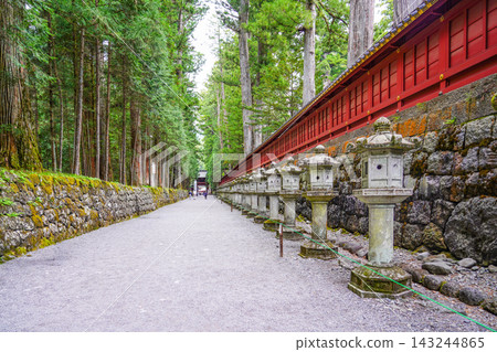 Nikko Toshogu Shrine lantern of Ushinin Michi Nikko Toshogu Shrine lantern of Ushinin Michi 143244865